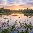 Rios que transbordam, planícies inundáveis e uma impressionante diversidade de animais: a área protegida de 187 mil hectares no Centro-Oeste que representa uma pequena parcela de um dos maiores sistemas úmidos de água doce do planeta