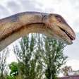 Fósseis encontrados na Espanha apontam que o dinossauro Diplodocus não existia só nos EUA