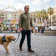 A Lei de Bem-Estar Animal já está em vigor: ela proíbe que donos de cães e gatos permitam que seus animais de estimação participem dessas atividades