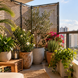 Como criar uma proteção contra vento para plantas cultivadas em varandas altas