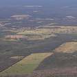 Agricultura cresce 11 milhões de hectares em 41 anos na Mata Atlântica