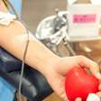 Testemunhas de Jeová flexibilizam regras de doação de sangue; saiba quando é permitido