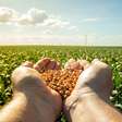 Dívida de R$ 8,5 bilhões no Pronaf ameaça safra de verão de agricultores familiares no RS