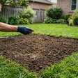 Como preencher áreas descobertas em seu jardim e fazer a grama crescer mais rápido