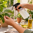 Cochonilhas no jardim é uma praga que tem gerado muita dor de cabeça aos amantes de plantas, más esse problema pode acabar com uma solução caseira infalível