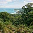 Oito áreas protegidas, 112 mil hectares de Mata Atlântica e restingas e uma concentração extraordinária de espécies endêmicas: o trecho entre o sul da Bahia e o norte do Espírito Santo que preserva alguns dos remanescentes mais valiosos da floresta costeira brasileira