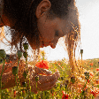 O que é o equinócio da primavera? Entenda o fenômeno e aprenda rituais simbólicos