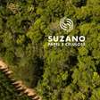 Suzano (SUZB3) quer reduzir dívida a US$ 11 bilhões e prevê dividendo mínimo; entenda o plano