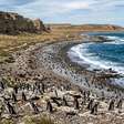 Uma estância chegou a ter 40.000 ovelhas em Santa Cruz: hoje suas 62.000 hectares abrigam mais de 40.000 pares de pinguins
