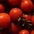 É Primavera! 11 alimentos que turbinam a imunidade nas mudanças de temperatura