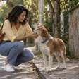 Ela saiu para uma caminhada de 20 minutos e encontrou o animal que a família procurava havia três semanas"