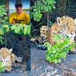 Pescador fica cara a cara com onça pintada durante expedição pelo Pantanal