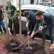 Mil árvores vão transformar paisagem do Distrito da Inovação em Porto Alegre
