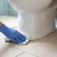 Os especialistas recomendam borrifar vinagre ao redor do vaso sanitário com frequência em casa: para que serve e por que sugerem fazê-lo