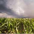 El Niño eleva desafio para a safra de verão