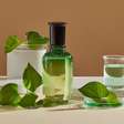 Depois dos cafés, o matcha conquista um novo território: os perfumes