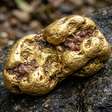 Em 1968, minerador da Califórnia encontrou pepita de ouro de 14,5 onças: quase 60 anos depois, a peça histórica foi vendida por US$ 71.875