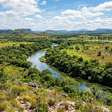 Rios de águas cristalinas, veredas, campos de cerrado e animais ameaçados como lobo-guará e tamanduá-bandeira: a região protegida de mais de 367 mil hectares que conserva um dos biomas mais antigos do mundo