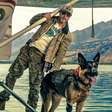 "A energia no set mudava": Brad Pitt revela experiência emocionante ao atuar com cachorro em novo filme