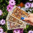 O que a primavera poderá trazer para seu signo? Veja as tendências para amor, trabalho e dinheiro