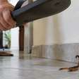 Nem inseticida, nem fogo: 5 tentativas de eliminar escorpiões que podem aumentar o risco dentro de casa