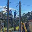 Metrô do Recife: Linha Centro amanhece fechada após queda de árvore na rede elétrica nesta quinta-feira (24)