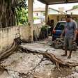 Morador corta raízes que começaram a levantar o piso de sua garagem e vizinho reclama que a árvore ficou instável depois do serviço