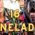 Gorda 16 Toneladas: Uma homenagem que alimenta a esperança