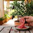 O árvore cítrica mais cara do mundo: como cultivá-la em vaso e colhê-la