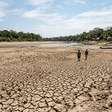 Amazonas: governo reconhece emergência por estiagem em duas cidades