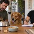 Seu cachorro pede comida o tempo todo? Observe estes sinais antes de aumentar a ração