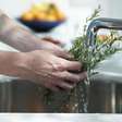 Pouca gente sabe, mas ferver algumas folhas de alecrim em casa pode purificar o ambiente e trazer benefícios inesperados para a sua rotina diária