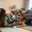 Vai escolher o nome do cachorro? Veja opções bíblicas e seus significados