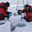 Sob o gelo polar, a água líquida ainda sustenta organismos adaptados à escuridão, e a temperatura não é o único limite para a vida