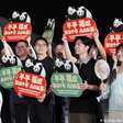 China envia dois pandas-gigantes para zoológico nos EUA