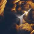 Vídeo: SpaceX tenta lançar megafoguete Starship no espaço