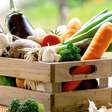 Dicas infalíveis para escolher verduras e legumes frescos