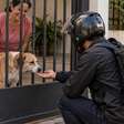 Cachorro começou a correr para o portão todos os dias poucos minutos antes das 18h, família pensou que ele esperava alguém de casa e descobriu que o verdadeiro compromisso chegava de moto