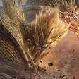 Monster Hunter Outlanders ganha novo trailer e chega em outubro para dispositivos móveis