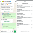 Terra Responde: tire suas principais dúvidas sobre eleição e política de maneira rápida e fácil no Whatsapp