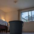 Casal percebeu uma mancha pequena no teto do quarto sempre que chovia, colocou um balde durante meses e só entendeu o tamanho do problema quando parte do forro cedeu
