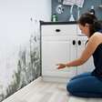 Mofo em casa: 7 cuidados para evitar o problema