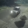 Gato morre após ser jogado de carro em movimento no interior de SP