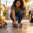 Família encontra um cachorro dormindo na garagem durante vários dias, começa a alimentá lo e entra em conflito quando o verdadeiro tutor aparece dizendo que o animal nunca esteve abandonado