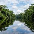 Rios de águas escuras, praias de areia clara, petróglifos e uma floresta tropical quase contínua: o parque amazônico de mais de 2,2 milhões de hectares reconhecido pela Unesco como Patrimônio Mundial