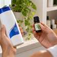 Três ingredientes populares contra a caspa: o que funciona e quais cuidados tomar com vinagre, babosa e melaleuca