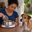Família percebe que o cachorro está ganhando peso mesmo com a ração controlada e descobre que três vizinhos diferentes davam comida pelo portão