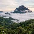 Uma montanha de 2.995,3 metros, expedições de 10 dias e território compartilhado com povos indígenas: o parque de 2,25 milhões de hectares que abriga o ponto mais alto do Brasil