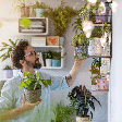Quer renovar as energias da casa? Conheça 7 plantas associadas à proteção e à prosperidade
