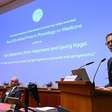 Trio que descobriu canais iônicos fotossensíveis leva Nobel de Medicina 2026
